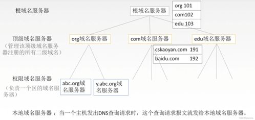 計算機網絡體系結構與應用層服務